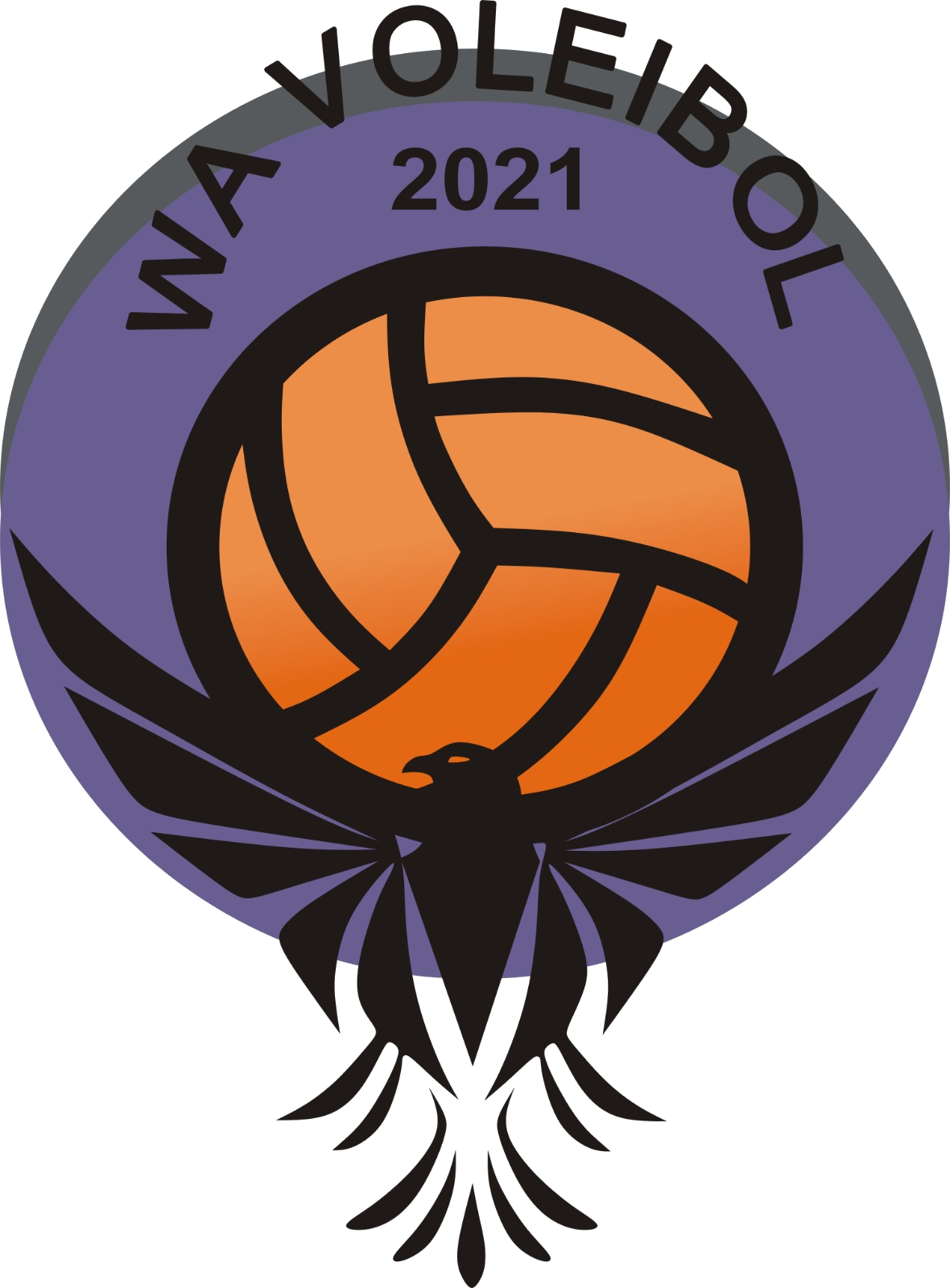 WA Voleibol - Transformando vidas através do esporte